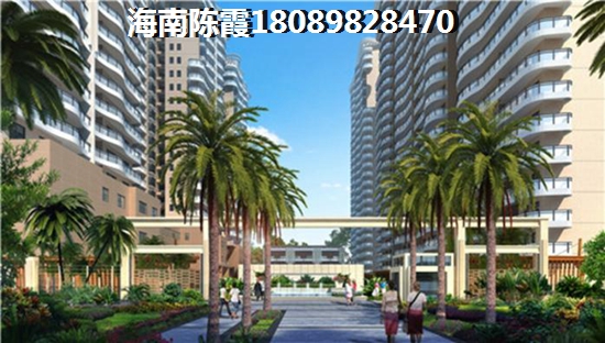 抚仙湖畔樱花谷 一居  户型图